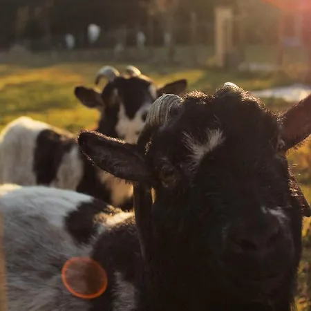 Senguinous 2 Casa vacanze *