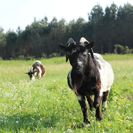 Casa vacanze Senguinous 2 *